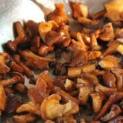What to do with mushrooms by chanterelles after collecting