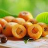Loquat: all about the benefits and growing at home Yellow medlar fruit as is
