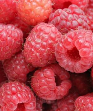 Preparing fresh raspberries for the winter - raspberries without cooking