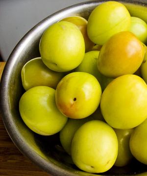 Green cherry plum and its beneficial qualities