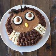 Cake in the shape of an owl: decorate with cream and mastic