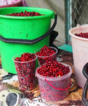 How to make lingonberry jam