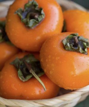 How to dry persimmons: variations on the theme of countries and methods Is it possible to dry persimmons in a dryer