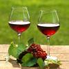 Красное сухое вино: каковы польза и вред