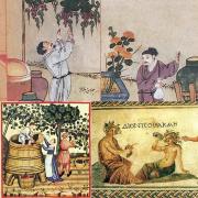 Veini ajalugu: antiikajast tänapäevani